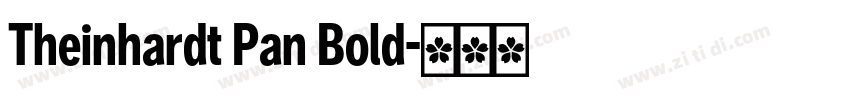 Theinhardt Pan Bold字体转换 Theinhardt Pan Bold字体转换